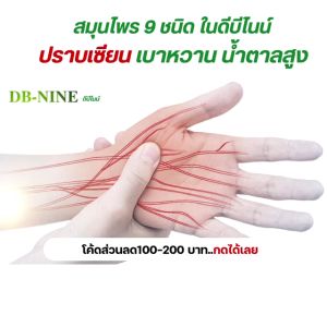 ส่งฟรี!!! ส่วนลด100!!! DB-NINE ดีบีไนน์ (โปร4กระปุก+กาแฟ5+ตลับยา1) สมุนไพร9ชนิด เบาหวาน ความดัน ปรับระดับน้ำตาลในเลือด