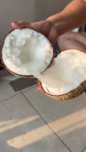 มะพร้าวกะทิ AAA คัดพิเศษ ฟูน้ำข้น100% พร้อมส่ง จัดโปรสุดคุ้ม จากสวน ถูกสุดในไทย จากเพจมะพร้าวกะทิทับสะแก