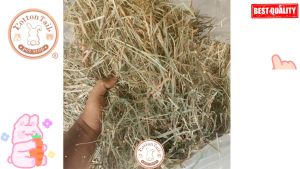 Smarthay Rumput Makanan Kelinci Timothy Hay 2nd Cut 1 Ball 22KG+++