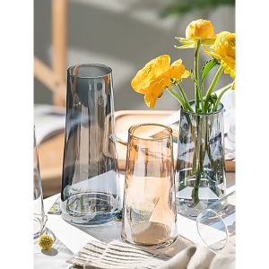 Lọ hoa thủy tinh đơn giản bình hoa thủy tinh đẹp -AENEA