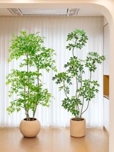 LIANYOU | High-end Luxury Imitation Plant Indoor Decoration