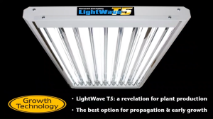Growth Technology LightWave T5 2Ft2Tube Fluorescent Plant Lighting (3300 Lumens 2x24W 6500K)