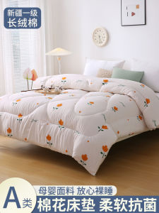 Thickened Cotton Quilt Winter Comforter Warm Filling Single Dormitory Bedding Double Size Quilt Fluffy Soft Polyester Fabric