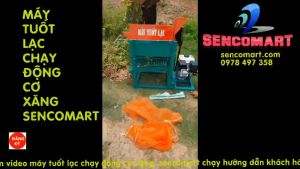 Máy tuốt lạc sạch không vỡ củ chạy động cơ xăng giá rẻ