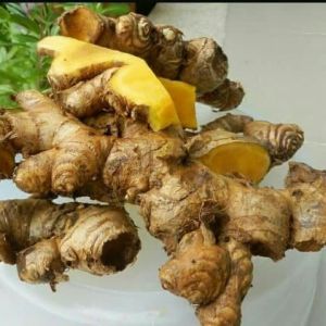 Banggle segar organik herbal 250 gram