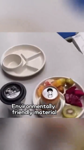 4 Grid Plates For Food  Dinner Fruit Tray Bariatric Portion Meal Foods Diet Planning Weight Dish