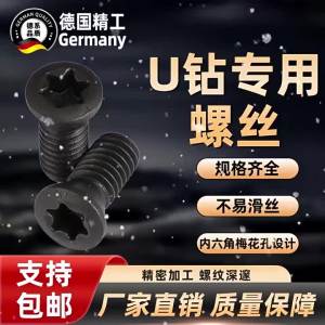 DIANRUI | High Strength 12.9 Grade Torx Screw For CNC Tools