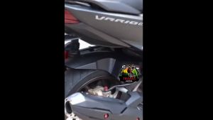 HUGGER VARIO 160 STYLO ABS CBS SPAKBOR KOLONG HAGER HUGER FENDER V160 AIR BLADE MOTOR HONDA VIETNAM