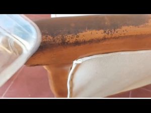 DNS Pembersih Jamur Kayu Membandel 1L Mencerahkan Furniture Meja Kursi Pintu Kusen