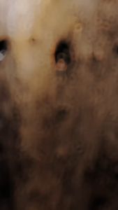 Clone Libra EDP - 60 ML (Parfum Wanita)