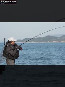SHIMANO | Freshwater & Saltwater Casting Fishing Rod