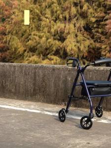 Walker For Elderly  Walking Stick For Elderly Trolley Portable Portable Folding Multifunctional Walking Aid 助行器