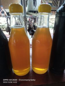 madu hutan asli