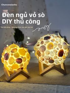 Đèn Ngủ DIY Sáng Tạo Hình Vỏ Sò và Sao Biển