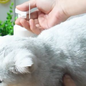 โฟมอาบน้ำแห้งสัตว์เลี้ยง แชมพูหมาและแมว สะอาด ดับกลิ่น 400ml