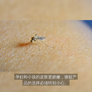 JAPAN Nippon Ding Ding日本叮叮环保驱蚊喷雾剂 70ML Eco Friendly Natural Mosquito & Insect Repellent Spray 70ML Anti Mosquito & Insect