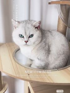 cat climbing frame Cat Tree Integrated Space Capsule Cat Scratch Trees Scratching Cat Teaser