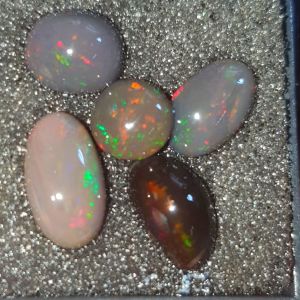 paket kalimaya black opal asli banten