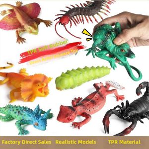 Stress Relief Soft Plastic Models