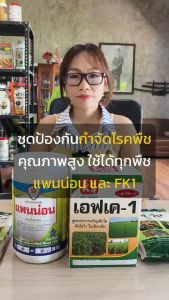 ต้นผักคะน้า ใบไหม้ ใบจุด ผลเน่า รากเน่าเป็นโรคจากเชื้อรา ใช้แพนน่อน หยุดโรค+FK-1 ฟื้นฟู โตไวผลผลิตดี
