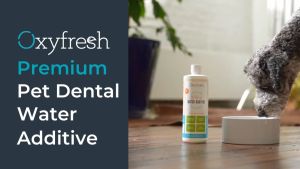 Oxyfresh® Pet Water Additive - Add To Cat Water Fountain - Cat Toothpaste Dog Toothpaste | Ubat Gigi Kucing (3800ml)