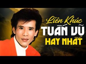 Sét 2 cuốn băng Cassette Liên khúc Tuấn Vũ trọn bộ Phôi Sony HF