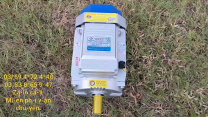 Motor điện 220v 22kw vòng tua 2900v/p Toàn Phát trục 24mm