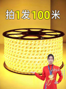 PAIMIJI | Waterproof Outdoor LED Light Strip 220V Warm White