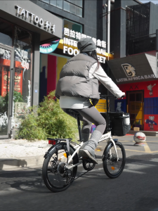 【Local Delivery】ROCKBROS 20 Inch Folding Bike Disc Brake 7 Speed Adult Foldable Bike City Leisure Portable Student Bike