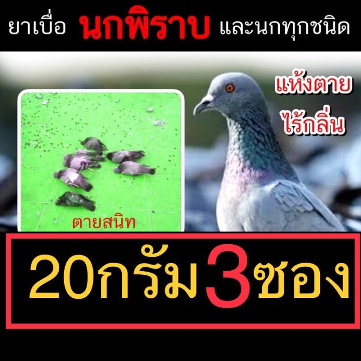 ยาเบื่อนกพิราบ 20g (3 ซอง) ออกฤทธิ์ช้า 3-4 วัน