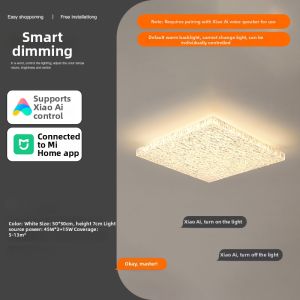 Luxury and Minimalist Ceiling Light