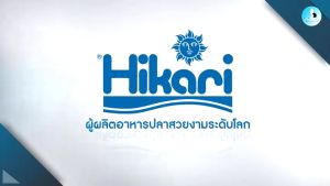 Hikari Neopros อาหารปลาเทวดา และ ปลาน้ำจืด ชนิดแผ่น สูตรเร่งโตไว 50g.