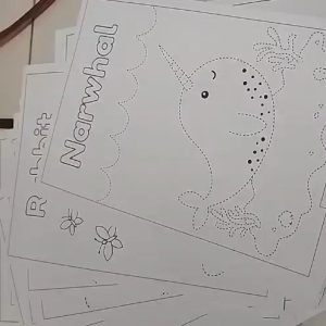 36pcs Belajar Menggambar Mewarnai Berbagai jenis Hewan Dalam Bahasa Inggris Harga Termurah!!