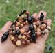 AGEN TASBIH DAN GELANG