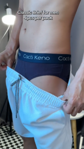 4IN1 Cacti Keno Cotton Briefs for Men Stretch Business Breathable Briefs Fashion Sport Briefs Plus Size 3XL 4XL 5XL
