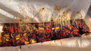 无糖！无糖！纯手工 Aprils House 阿胶糕 Ejiao Cake Healthy Supplement Blood Enrichment Women 原味 混合（玫瑰味 橙皮味 桂花味）· 250g 500g