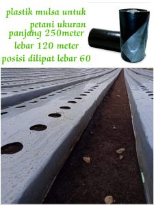 [paket 1 Roll 250 Meter]Mulsa Plastik Hitam perak silver Lebar 120 tebal 035 meter tanaman Berkebun Urban Farming