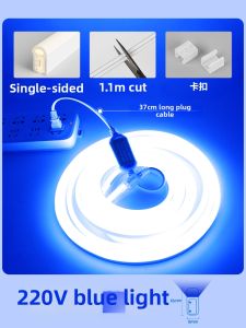 LAISILIMANWEI | Waterproof Cold Light Blue LED Strip 220V