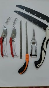 (FREESHIP) Bộ 7 Món Dụng Cụ Làm Vườn Cây Cảnh Bonsai ( Kéo SK5 Kéo Cắt Cành Cưa Gập Cầm Tay và Cưa Lách New) - Dụng Cụ Nông Nghiệp GD Smart