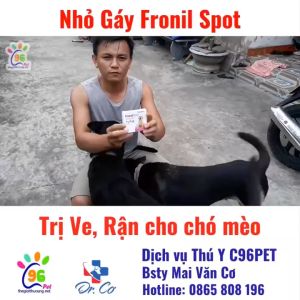 Nhỏ gáy Fronil Spot đặc trị ve rận bọ chét cho chó mèo (1 ống 0.67ml)