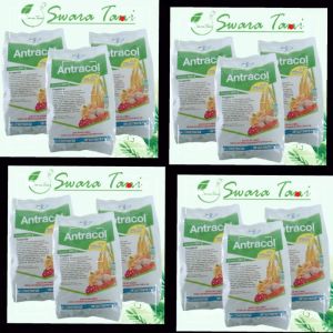 Kontrol Penyakit Tanaman dengan Fungisida Kontak Antracol 70WP 500 Gram Original