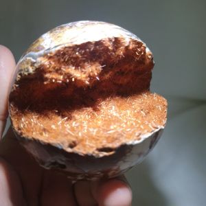 Magnesite Acicular Shining Sphere/Magnesite Acicular Sphere/Goethite and Copper Rutilated Sphere/针状菱镁矿球