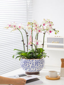 Large Size New Chinese Style Orchid Pot Blue And White Porcelain Ceramic Flower Vase Home Decorative Plant Pots for Orchids