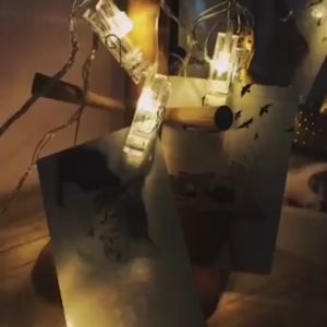 ไฟคลิปหนีบ มีหลายแบบให้เลือก ไฟกระพริบ ไฟหนีบ ไฟตกแต่ง LED ไฟตกแต่งบ้าน ไฟประดับสวน ไฟแต่งห้อง