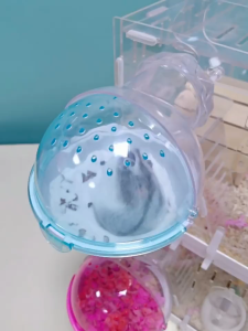 Nhà tắm vũ trụ gắn lồng dành cho hamster / đuôi mập - T3 PETS SHOP