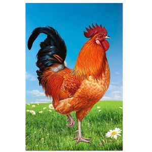 Red Rooster Feng Shui Decorative Painting Self Adhesive Entranceway Home Decor Wealth Attracting Festive New Year Artwork