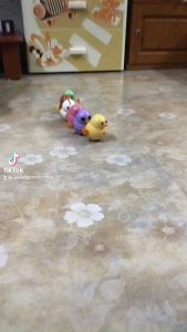 Đồ Chơi Trẻ Em Sét 6 Gà Con Lắc Lư Bằng Điện Từ TínhChạy Bộ Theo Hàng Dễ Thương Cho Bé Chất Liệu An Toàn Chống Va Đập-Tiệm Nhà Sóc 2023