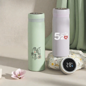 Stylish Stainless Steel Tea Thermos