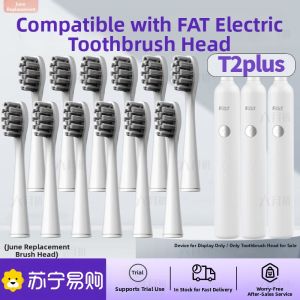 Early June Compatible FAT Electric Toothbrush Head T2plus Jinmeikexi J2/LMN Universal Replacement Head Deep Cleaning Adult Hardness