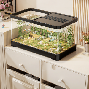 XINGYOU | Small Desktop Fish Tank with Filter and Oxygenation System Full Set
